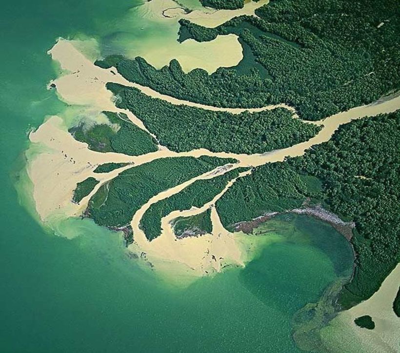 ДЕЛЬТА РЕКИ