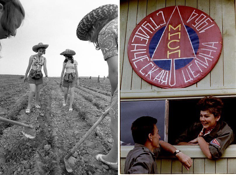 От шпаргалок до картошки: все, что так хотелось знать о студентах СССР