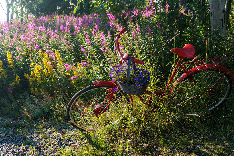 Что в Норвегии делают с велосипедами