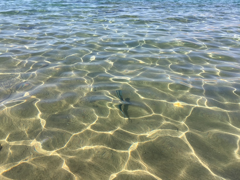 Красное море: тишь и благодать