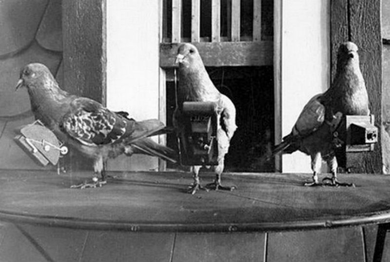 Блог - 9 самых первых фотографий в истории человечества 9 самых первых фотографий в истории человечества