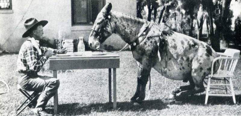 20 архивных снимков, сделанных в самый идеальный момент 