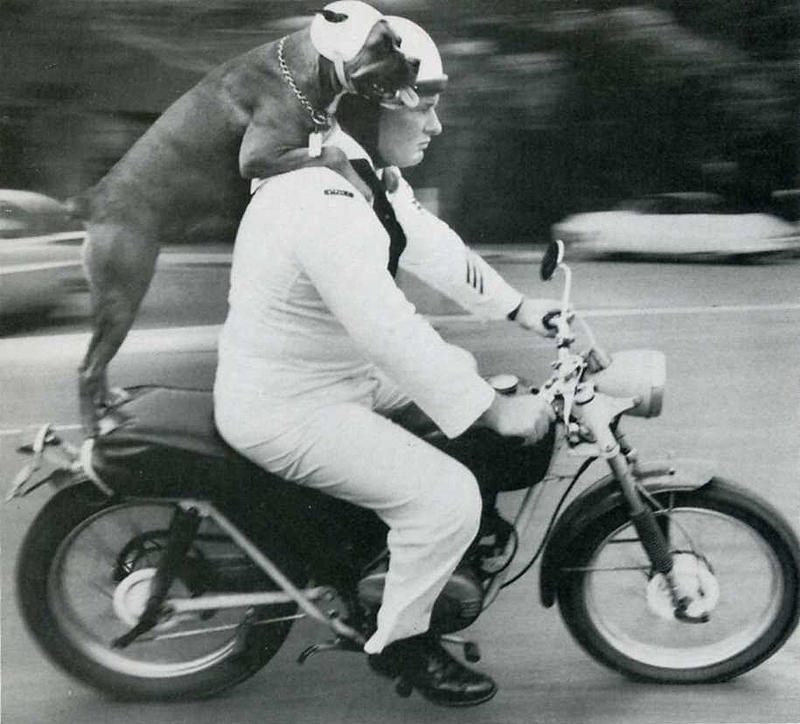 20 архивных снимков, сделанных в самый идеальный момент 