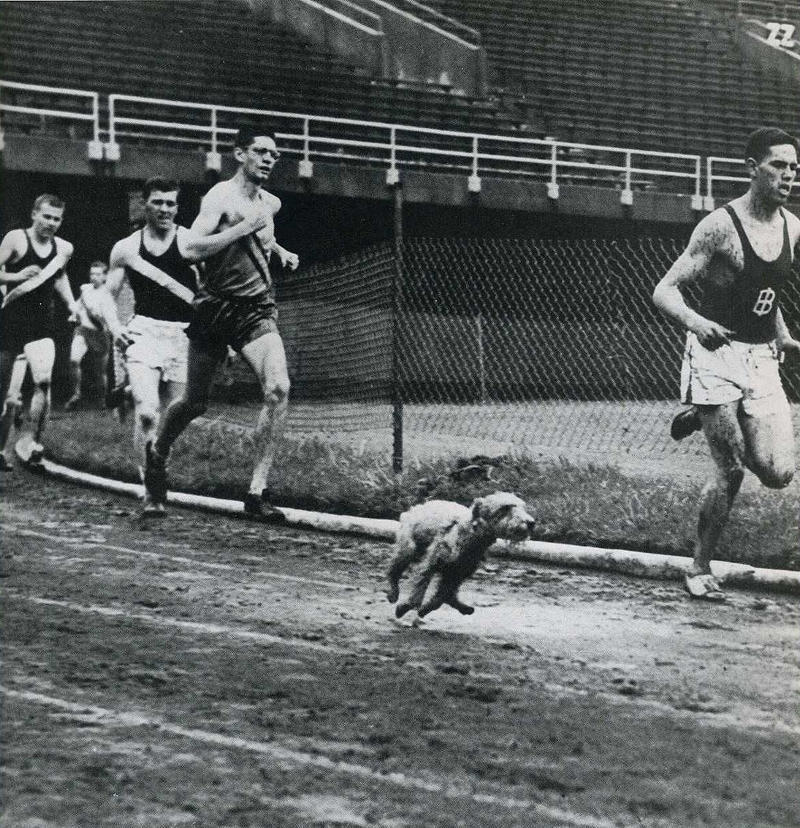 20 архивных снимков, сделанных в самый идеальный момент 