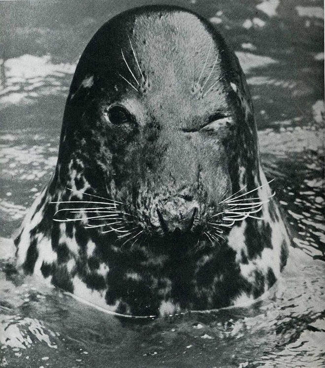 20 архивных снимков, сделанных в самый идеальный момент 