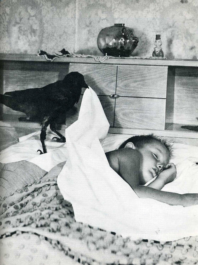 20 архивных снимков, сделанных в самый идеальный момент 