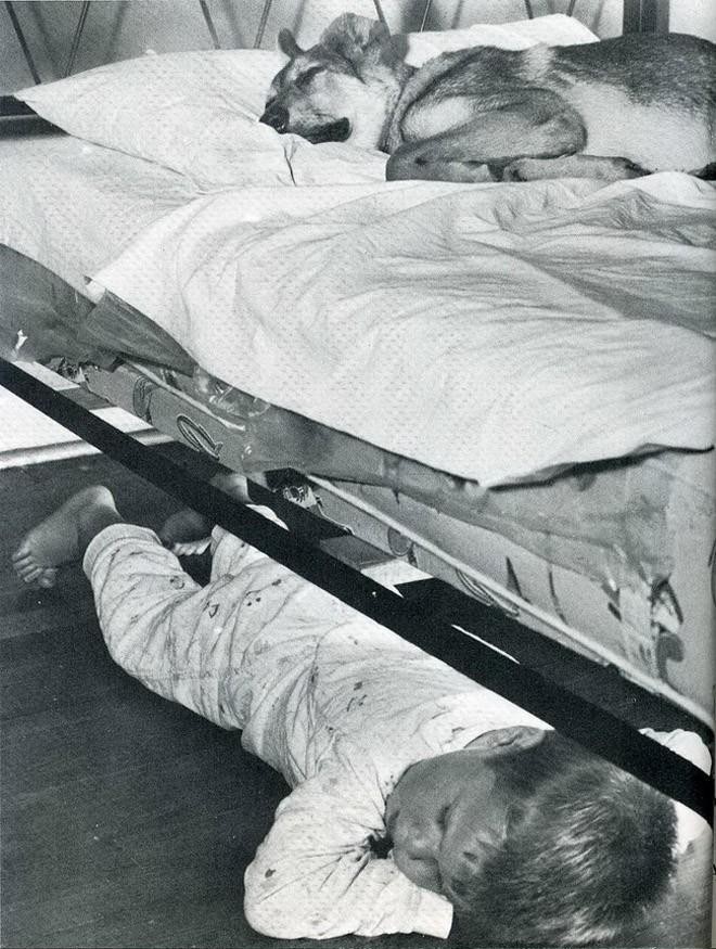 20 архивных снимков, сделанных в самый идеальный момент 