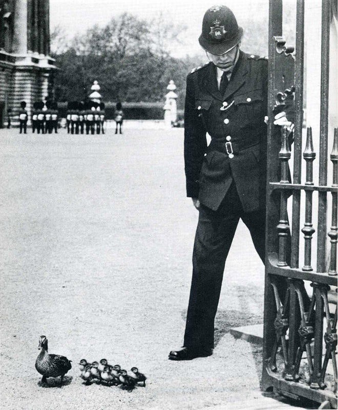 20 архивных снимков, сделанных в самый идеальный момент 