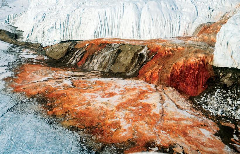 Блог - Кровавый водопад на леднике Тейлора: почему он имеет такой жуткий вид Кровавый водопад на леднике Тейлора: почему он имеет такой жуткий вид