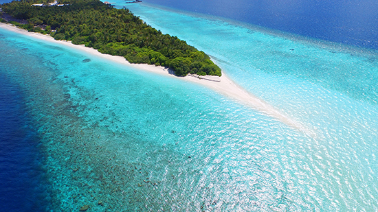 Блог - Dhigali Maldives — путешествие по острову стало еще лучше Dhigali Maldives — путешествие по острову стало еще лучше