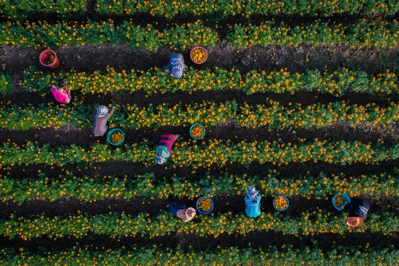 Блог - 20 лучших дрон-фотографий 2017 года по версии Dronestagram 20 лучших дрон-фотографий 2017 года по версии Dronestagram