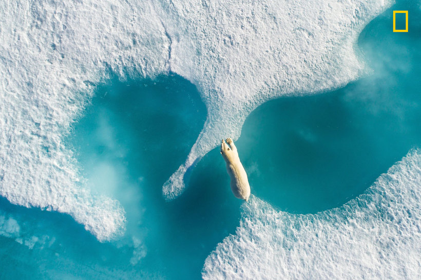 Блог - 20 лучших дрон-фотографий 2017 года по версии Dronestagram 20 лучших дрон-фотографий 2017 года по версии Dronestagram