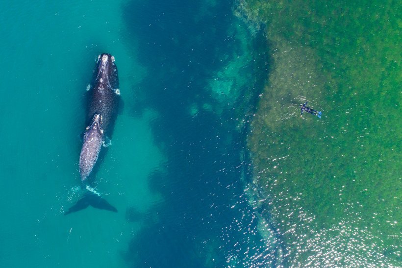 Блог - 20 лучших дрон-фотографий 2017 года по версии Dronestagram 20 лучших дрон-фотографий 2017 года по версии Dronestagram