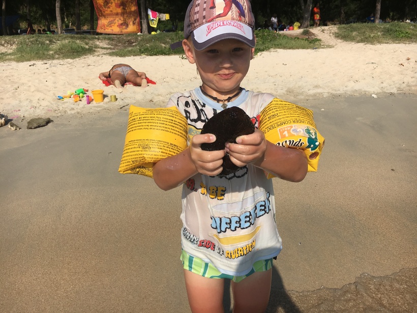 Улов ребенка — морской огурец