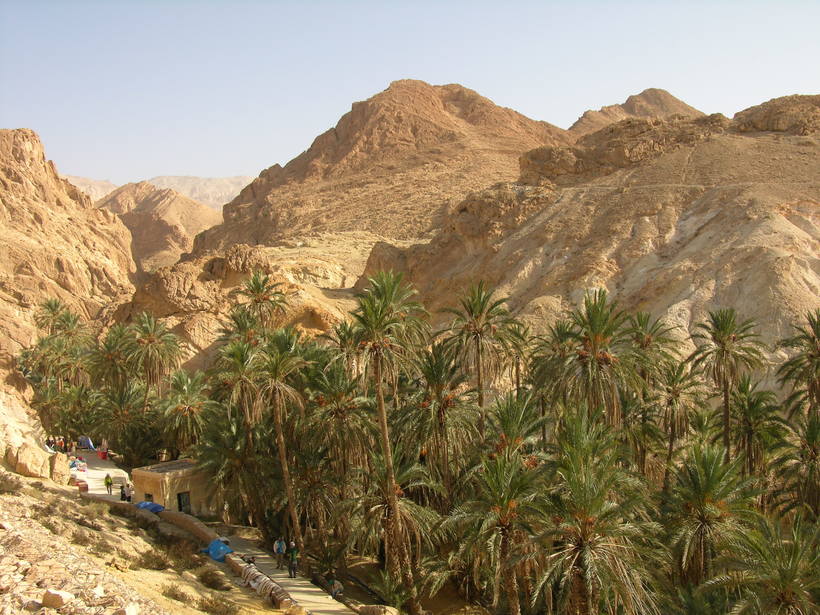 Оазис в пустыне