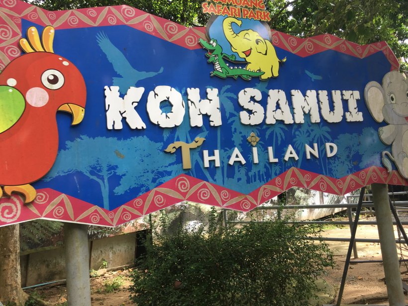 У входа в сафари-парк