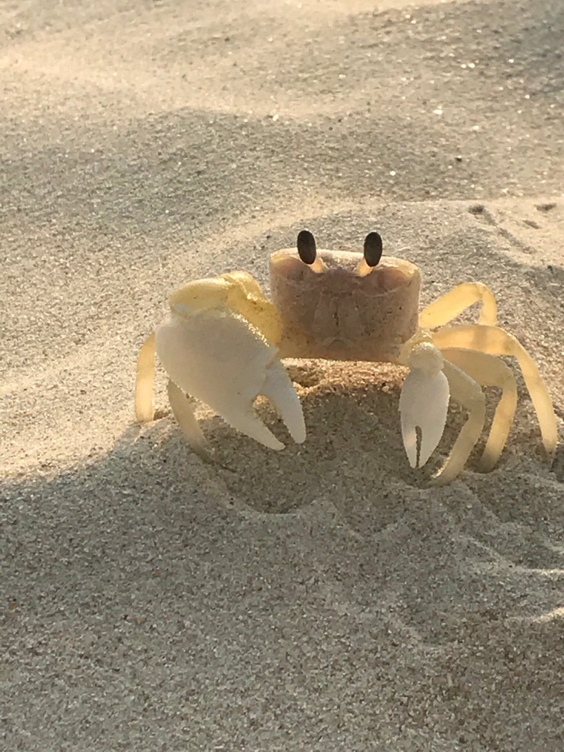 Морской абориген