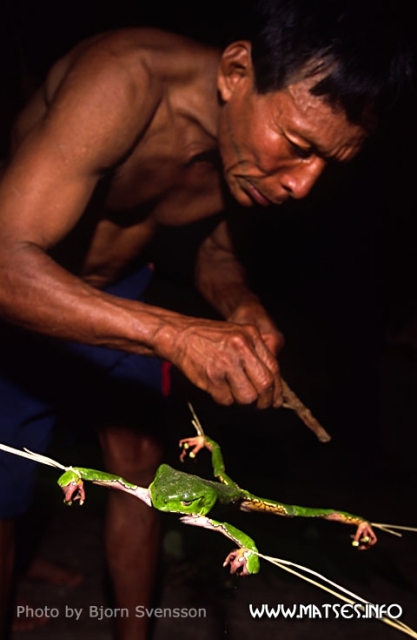 Люди-ягуары и их первозданный мир амазонского леса