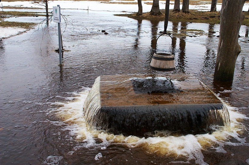Блог - Уникальное дерево в Черногории, из которого бьет фонтан Уникальное дерево в Черногории, из которого бьет фонтан