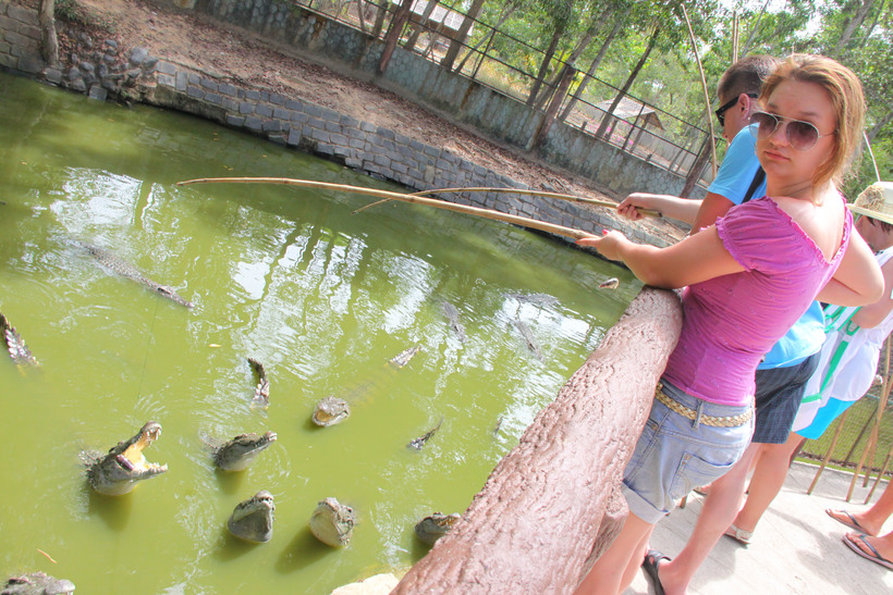 Кормлю крокодилов
