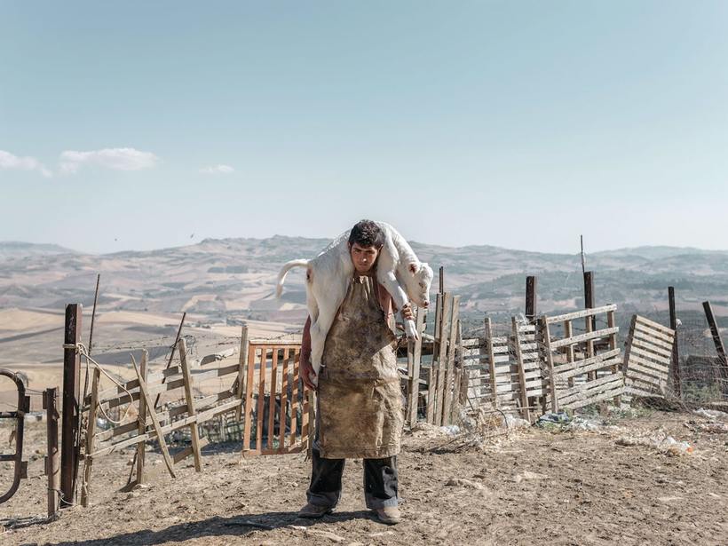 Блог - Финалисты конкурса Sony World Photography Awards Финалисты конкурса Sony World Photography Awards