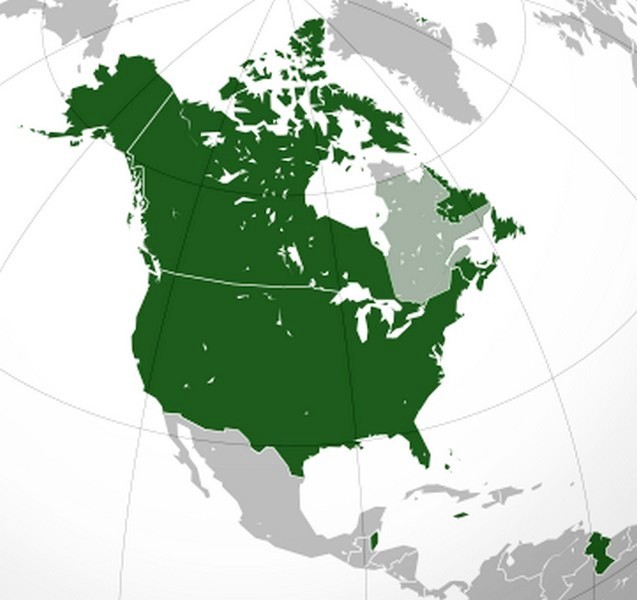 Регионы Англо-Америки показаны темно-зеленым цветом