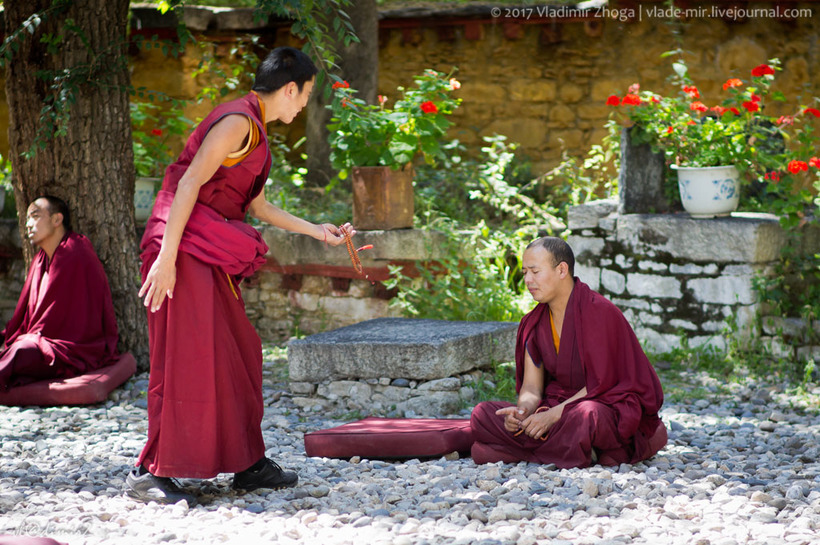 О чем спорят тибетские монахи