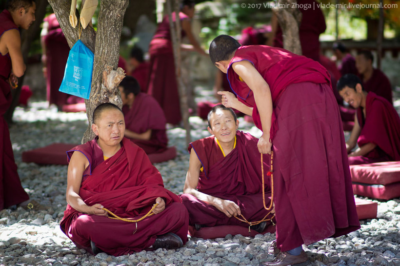 О чем спорят тибетские монахи