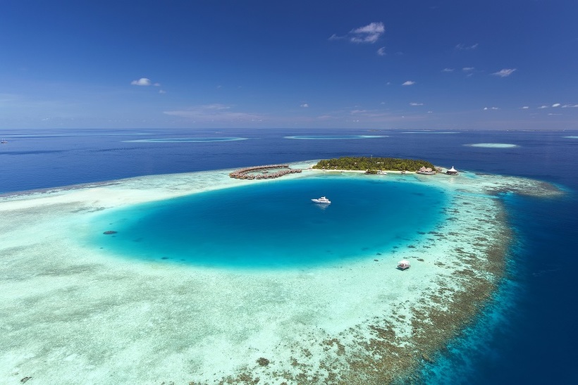 Блог - Прогулки под водой с морскими биологами курорта Baros Maldives Прогулки под водой с морскими биологами курорта Baros Maldives