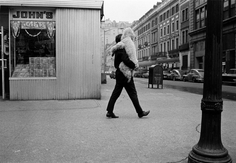 Блог - 30 самых ярких работ легенды уличной фотографии Джоэла Мейеровица 30 самых ярких работ легенды уличной фотографии Джоэла Мейеровица