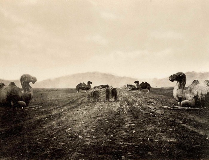 Блог - Окно в старый Китай: 19 редких фотографий Китая конца XIX века, которые стоит увидеть Окно в старый Китай: 19 редких фотографий Китая конца XIX века, которые стоит увидеть