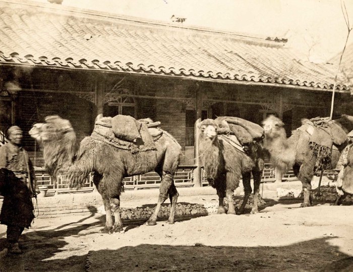 Блог - Окно в старый Китай: 19 редких фотографий Китая конца XIX века, которые стоит увидеть Окно в старый Китай: 19 редких фотографий Китая конца XIX века, которые стоит увидеть