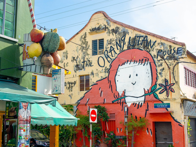 The orangutan house