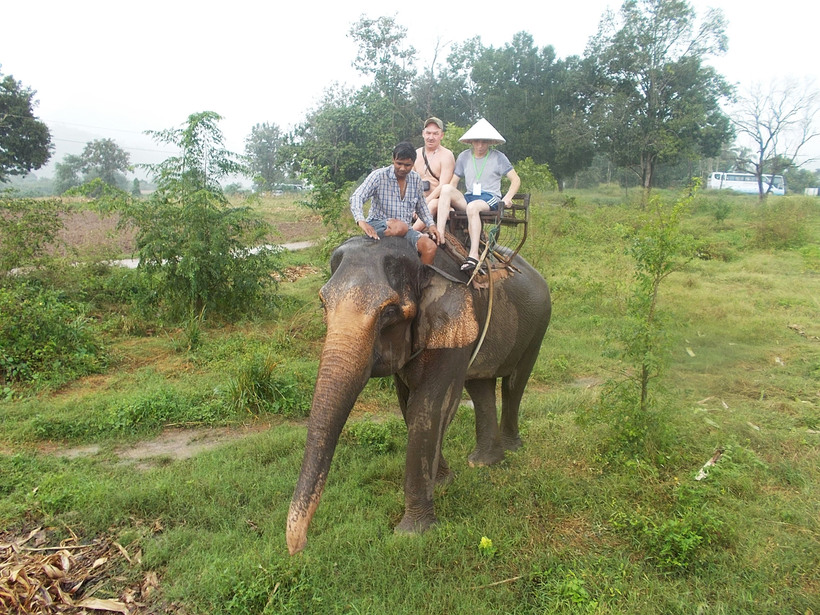 Таиланд, декабрь, экскурсия "Дискавери", катание на слоне во время дождя
