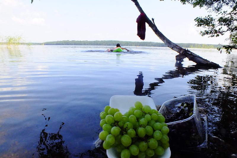 Блог - Водоемы Петербурга и окрестностей, где можно купаться Водоемы Петербурга и окрестностей, где можно купаться
