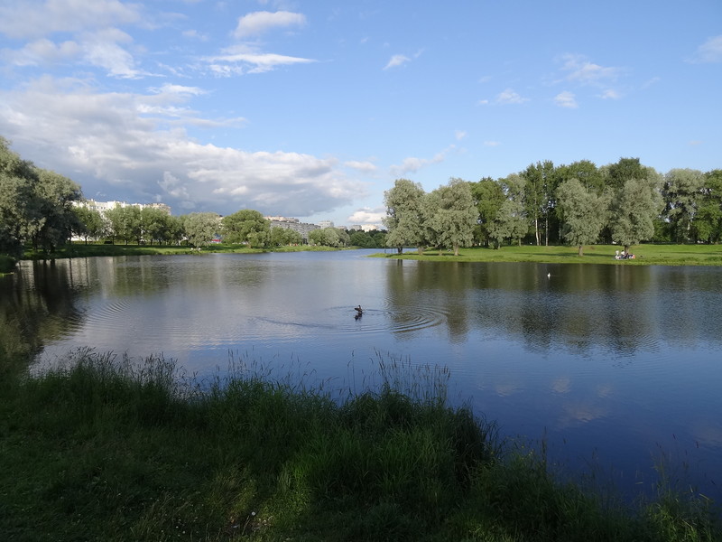 Блог - Водоемы Петербурга и окрестностей, где можно купаться Водоемы Петербурга и окрестностей, где можно купаться