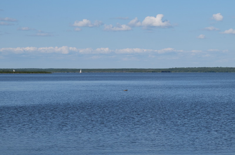 Блог - Водоемы Петербурга и окрестностей, где можно купаться Водоемы Петербурга и окрестностей, где можно купаться