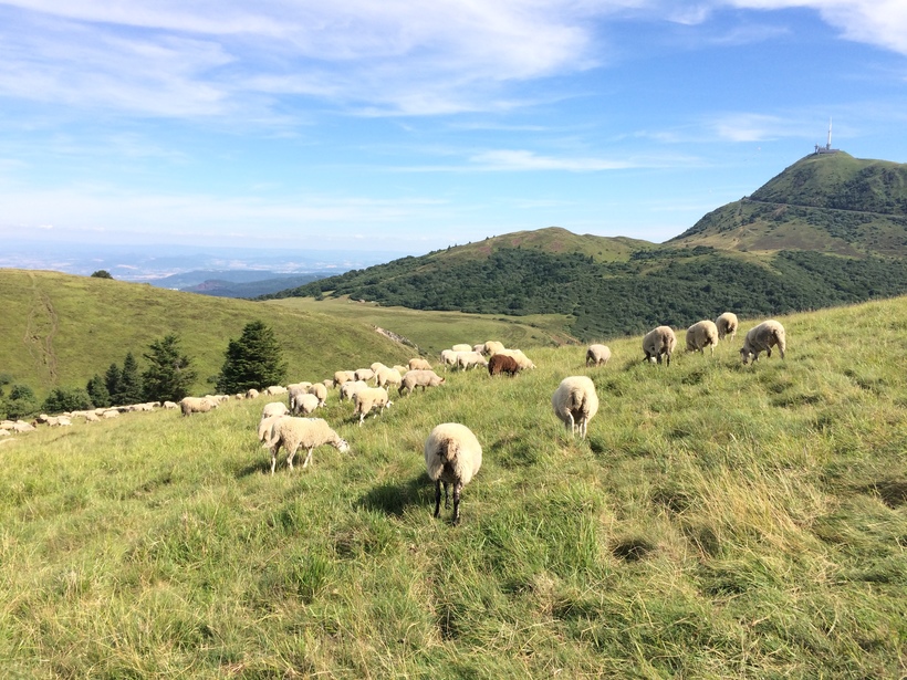 Вид на Puy de Dôme.