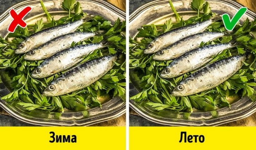 Блог - 10 постоянных ошибок туриста, мешающих оценить местную кухню по-настоящему 10 постоянных ошибок туриста, мешающих оценить местную кухню по-настоящему