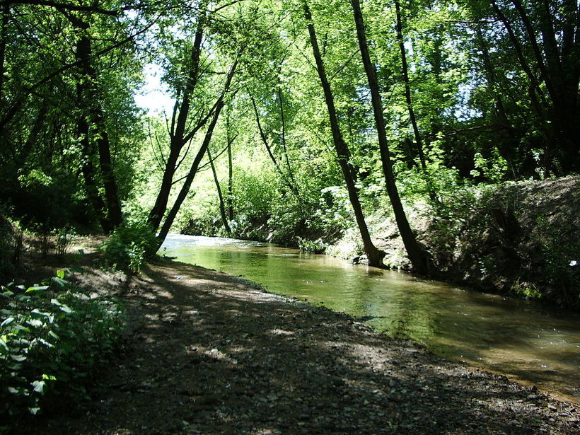 Река Таракановка