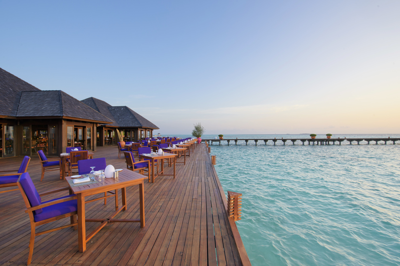 Блог - Гастрономическое путешествие в Sun Siyam Resorts Гастрономическое путешествие в Sun Siyam Resorts