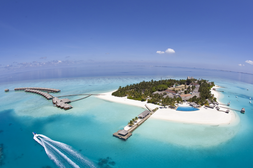 Блог - Спасенная в Velassaru Maldives черепаха выпущена обратно в дикую природу Спасенная в Velassaru Maldives черепаха выпущена обратно в дикую природу
