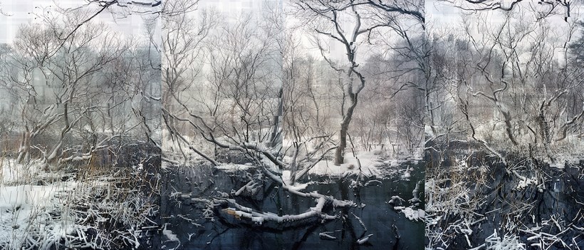 Блог - Потрясающие работы победителей Sony World Photography 2018 Потрясающие работы победителей Sony World Photography 2018