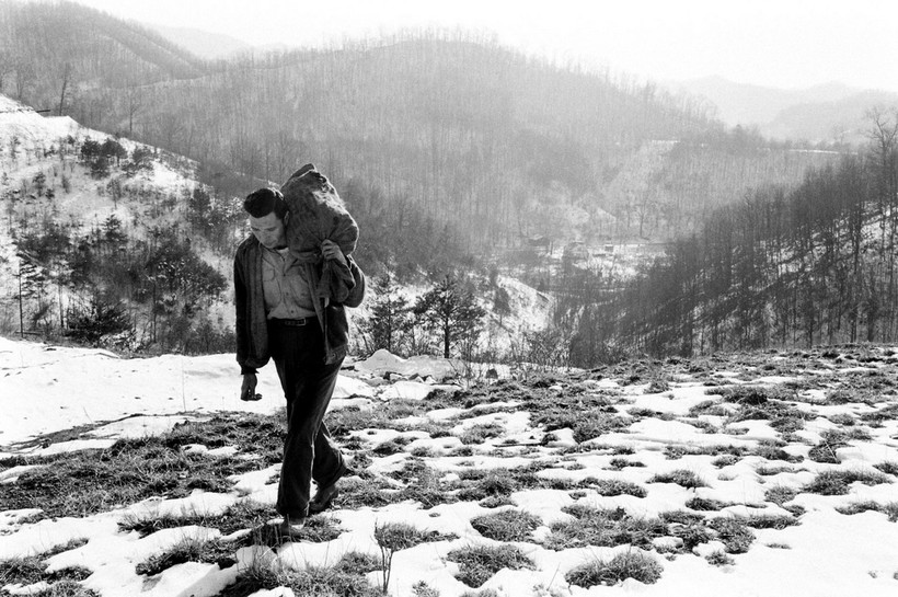 «Долина бедности»: страшные кадры повседневной жизни жителей Кентукки в начале 1960-х