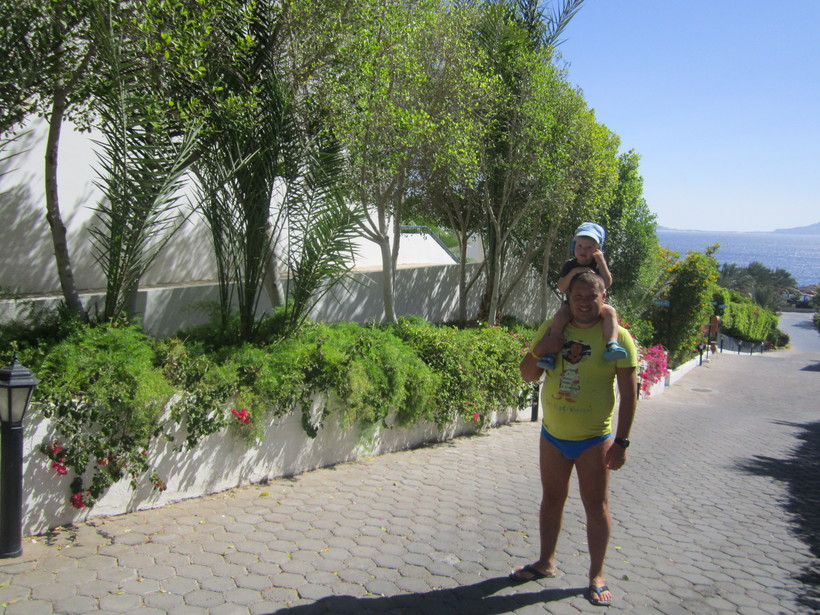 Египет, отельная территория в Шарме