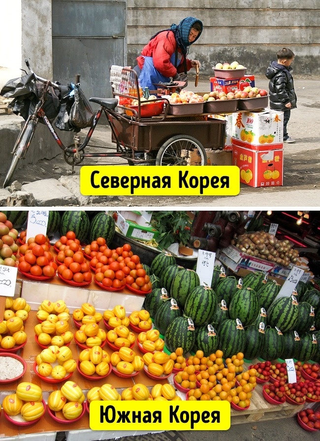 Блог - 11 повседневных снимков Северной и Южной Кореи спустя 70 лет после разъединения 11 повседневных снимков Северной и Южной Кореи спустя 70 лет после разъединения