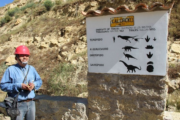 Стена динозавров в Боливии: как следы древних рептилий оказались на отвесной скале