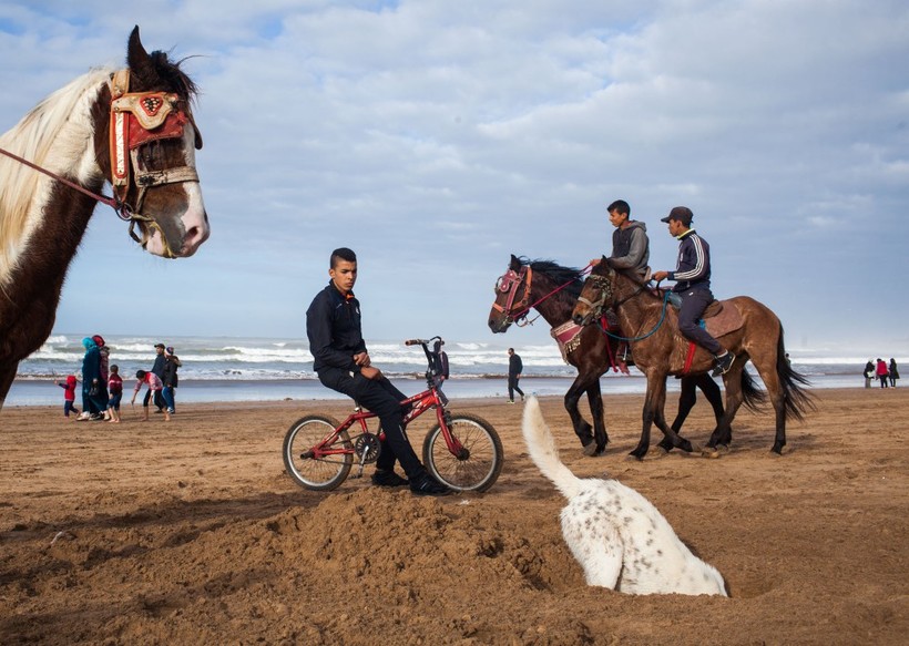 18 фото о том, как на самом деле выглядит Касабланка