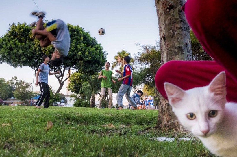 18 фото о том, как на самом деле выглядит Касабланка