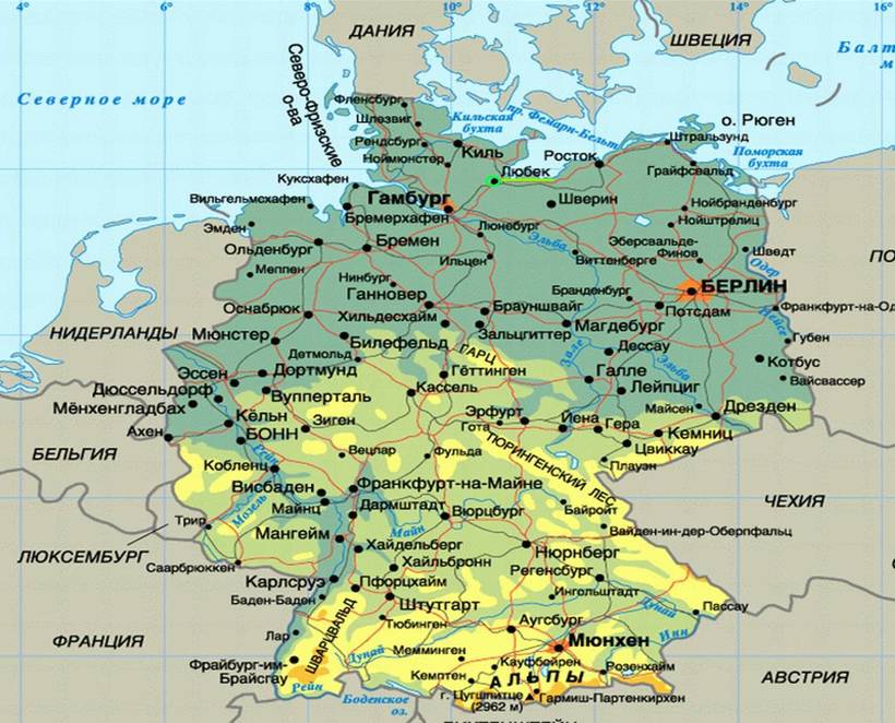Блог - Сбежавший питомец: нанду акклиматизировались на севере Германии и угрожают фермерам Сбежавший питомец: нанду акклиматизировались на севере Германии и угрожают фермерам